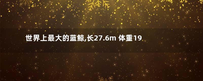 世界上最大的蓝鲸,长27.6m 体重190吨